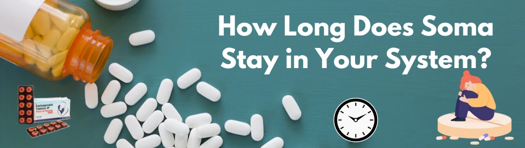how-long-does-soma-stay-in-your-system