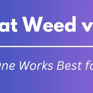 Horny Goat Weed vs Viagra: Which One Works Best for ED?