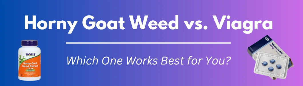 Horny Goat Weed vs Viagra: Which One Works Best for ED?